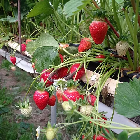 Apartment Domaine Des Ecoliers - 123 Soleil - Parking *