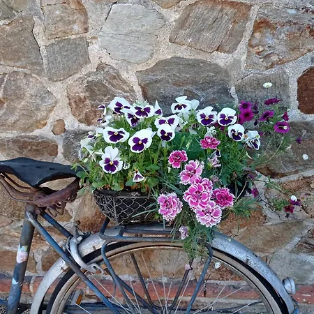Domaine Des Ecoliers - 123 Soleil - Parking Apartment